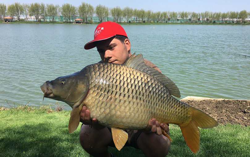 Campion absolut la scapat pestii.